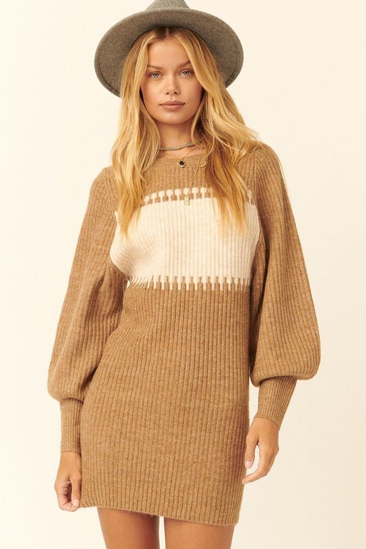 A Ribbed Knit Sweater Mini Dress - ShopEasier