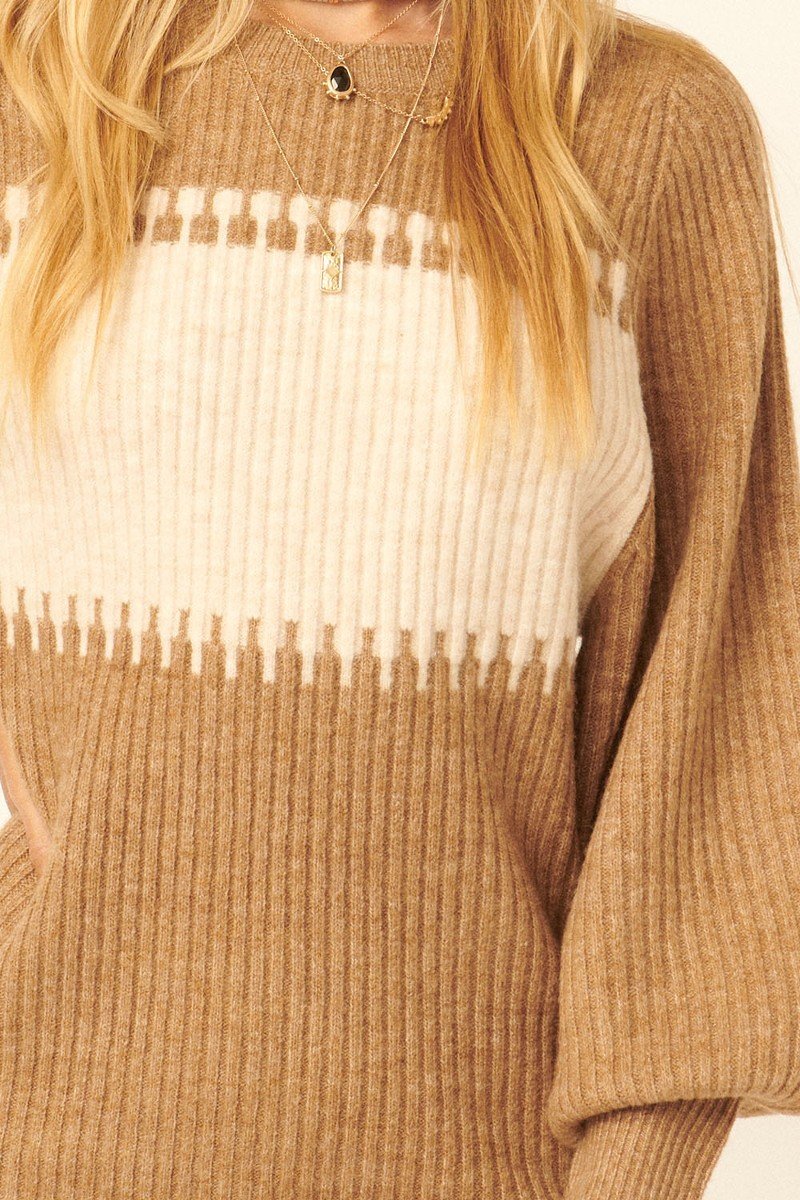 A Ribbed Knit Sweater Mini Dress - ShopEasier