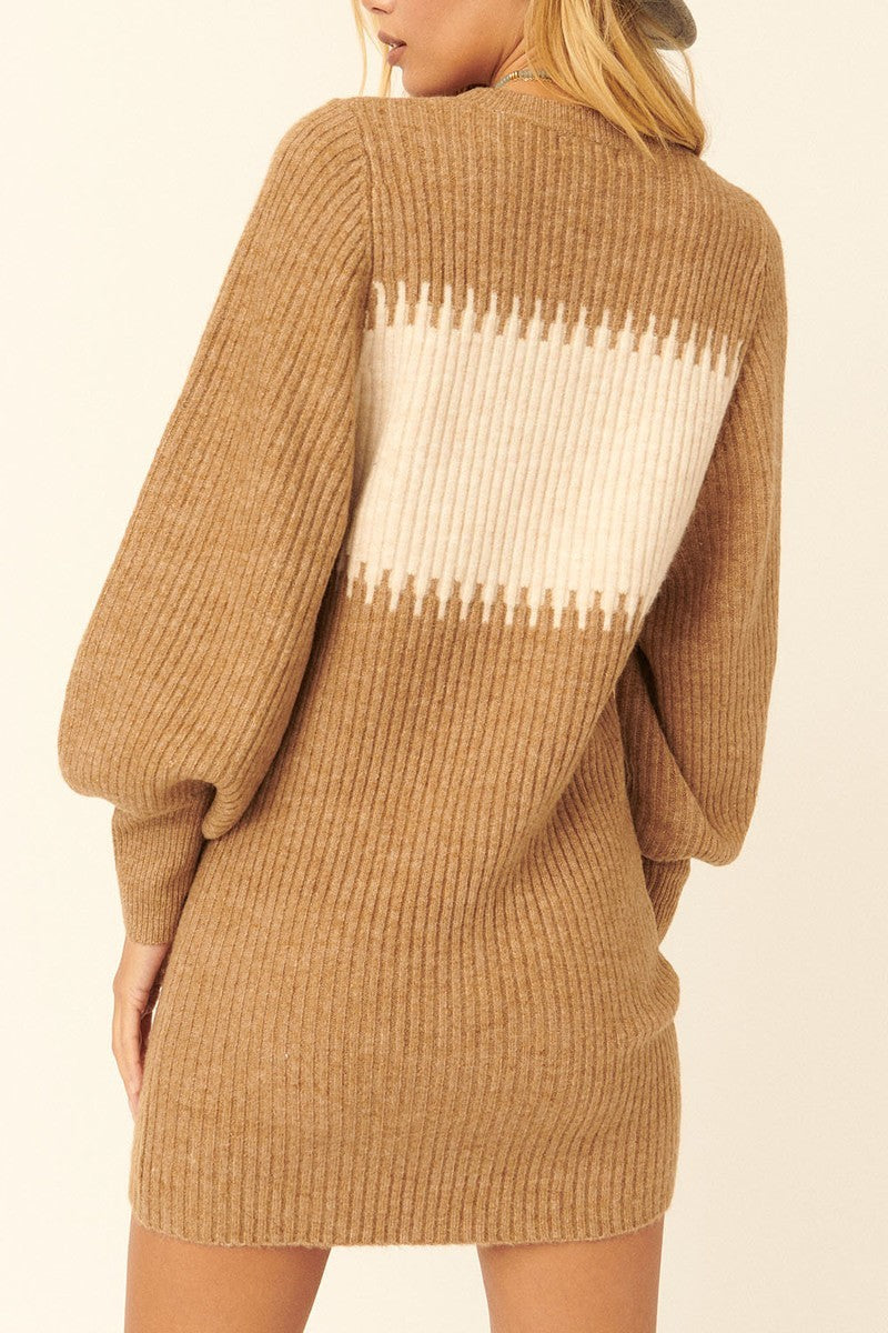 A Ribbed Knit Sweater Mini Dress - ShopEasier