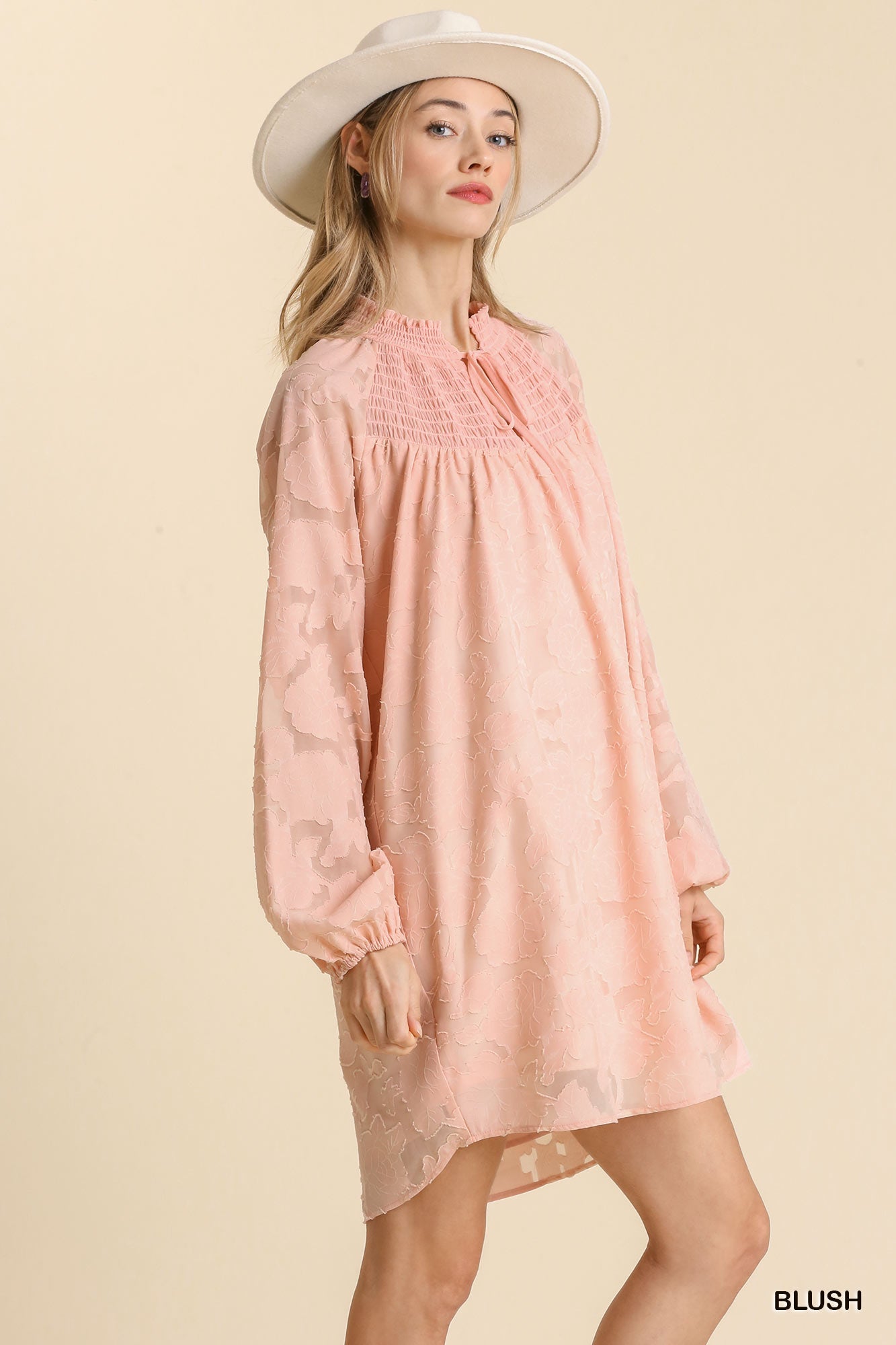 Jacquard Raglan Smocked Tie Neck Yoke Dress - ShopEasier