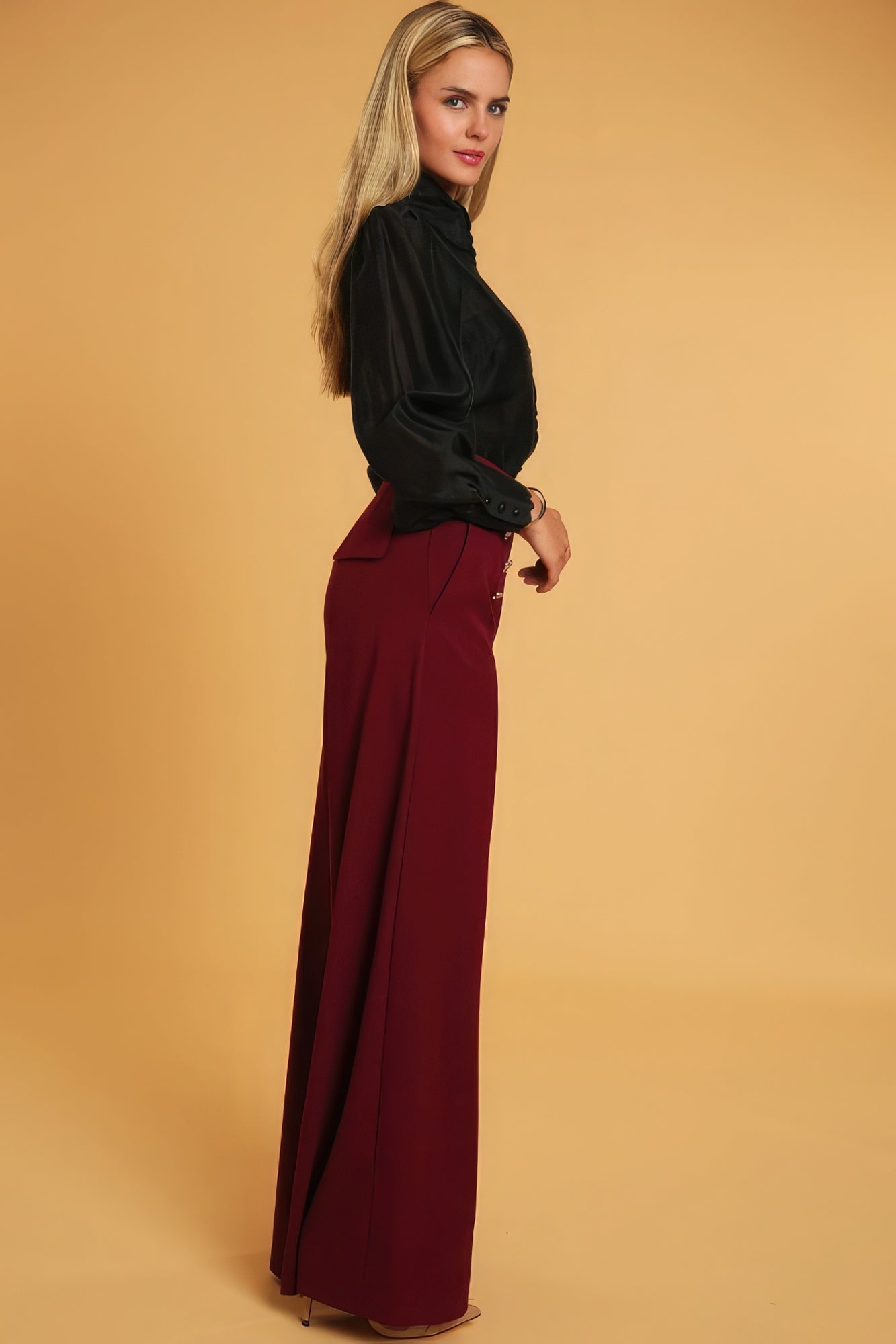 High Waisted Dressy Pants - ShopEasier